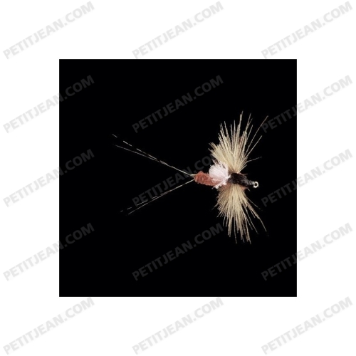 MAYFLIES CDC MP81